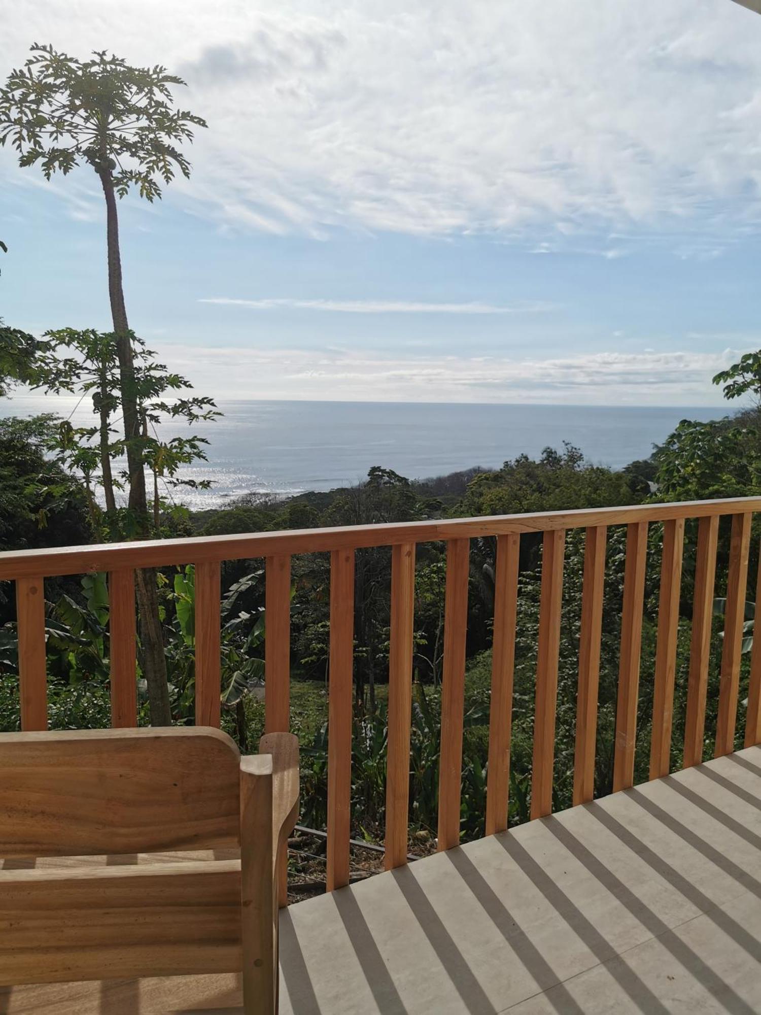 Casa Luna - Private Suites With Ocean View, Pool, Ac, Wifi Playa Santa Teresa  エクステリア 写真