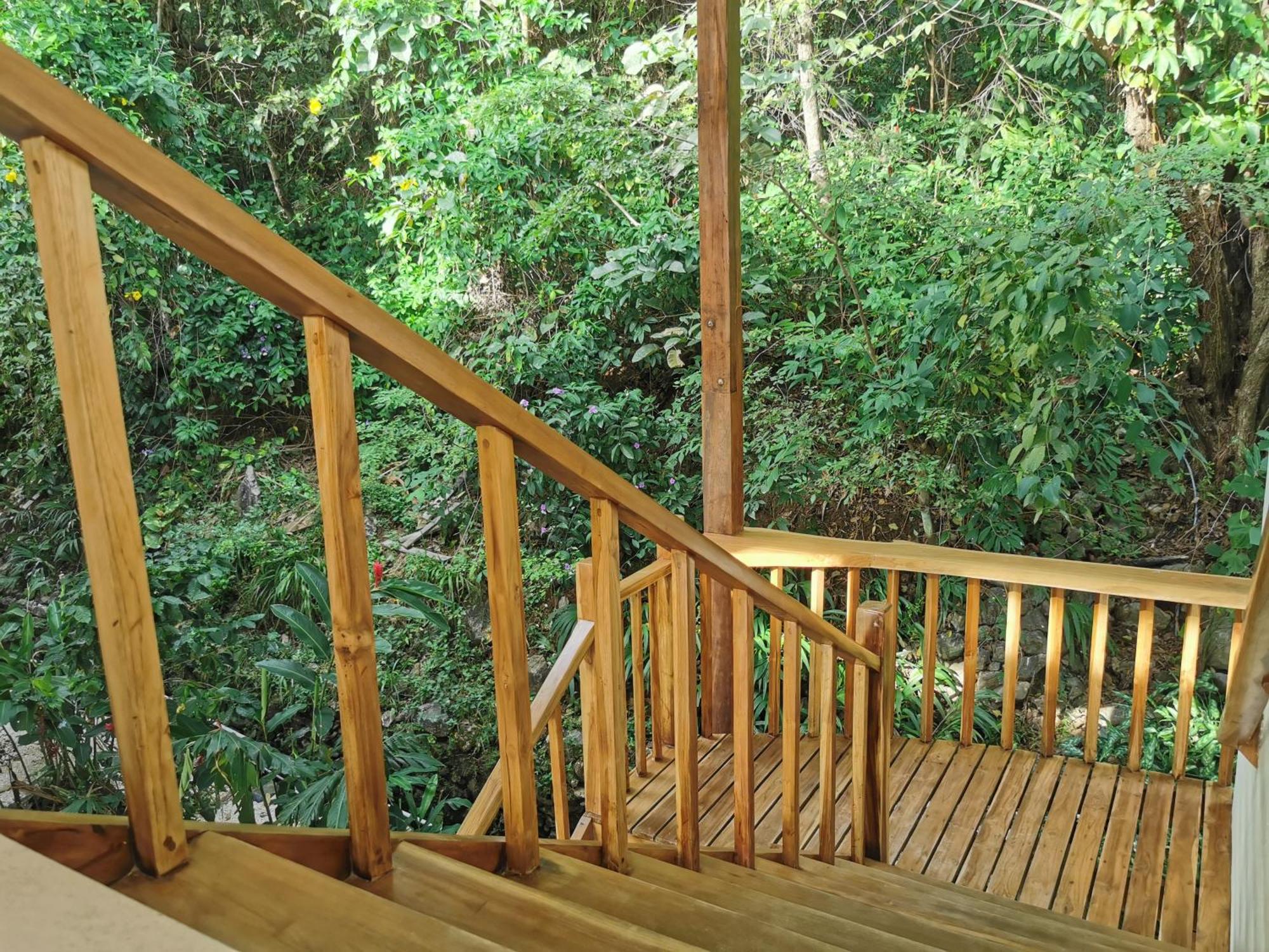 Casa Luna - Private Suites With Ocean View, Pool, Ac, Wifi Playa Santa Teresa  エクステリア 写真