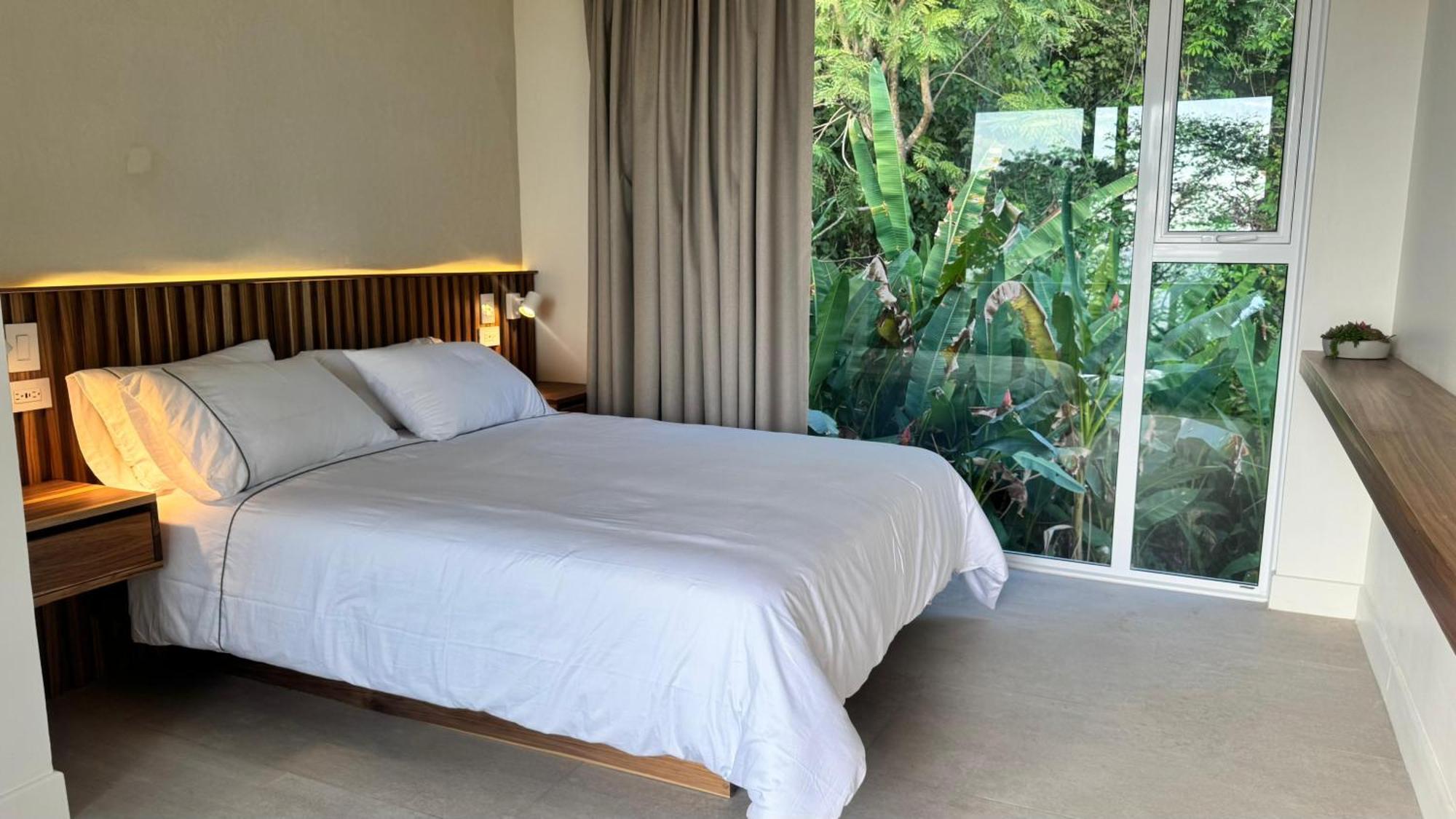 Casa Luna - Private Suites With Ocean View, Pool, Ac, Wifi Playa Santa Teresa  エクステリア 写真