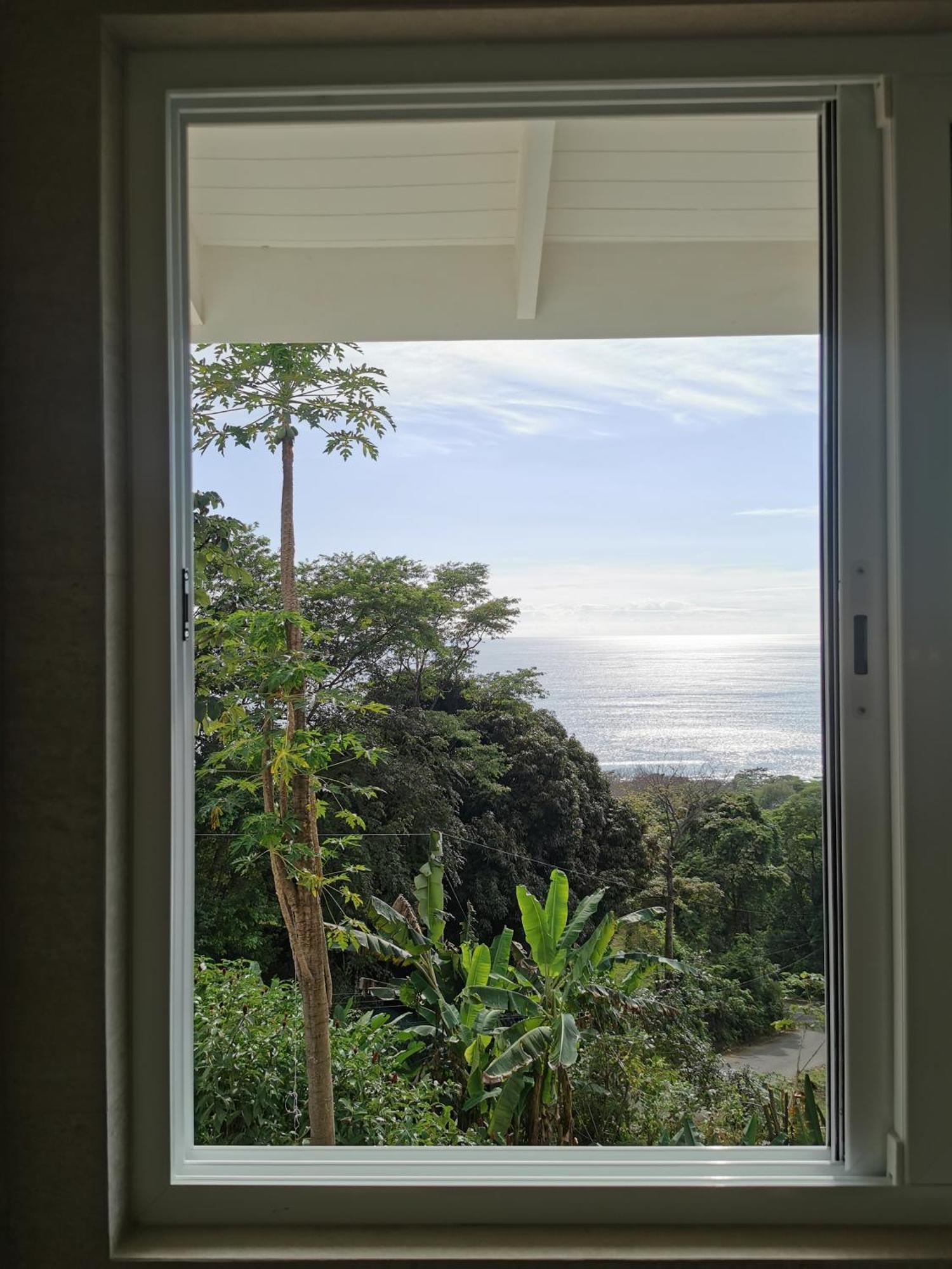 Casa Luna - Private Suites With Ocean View, Pool, Ac, Wifi Playa Santa Teresa  エクステリア 写真