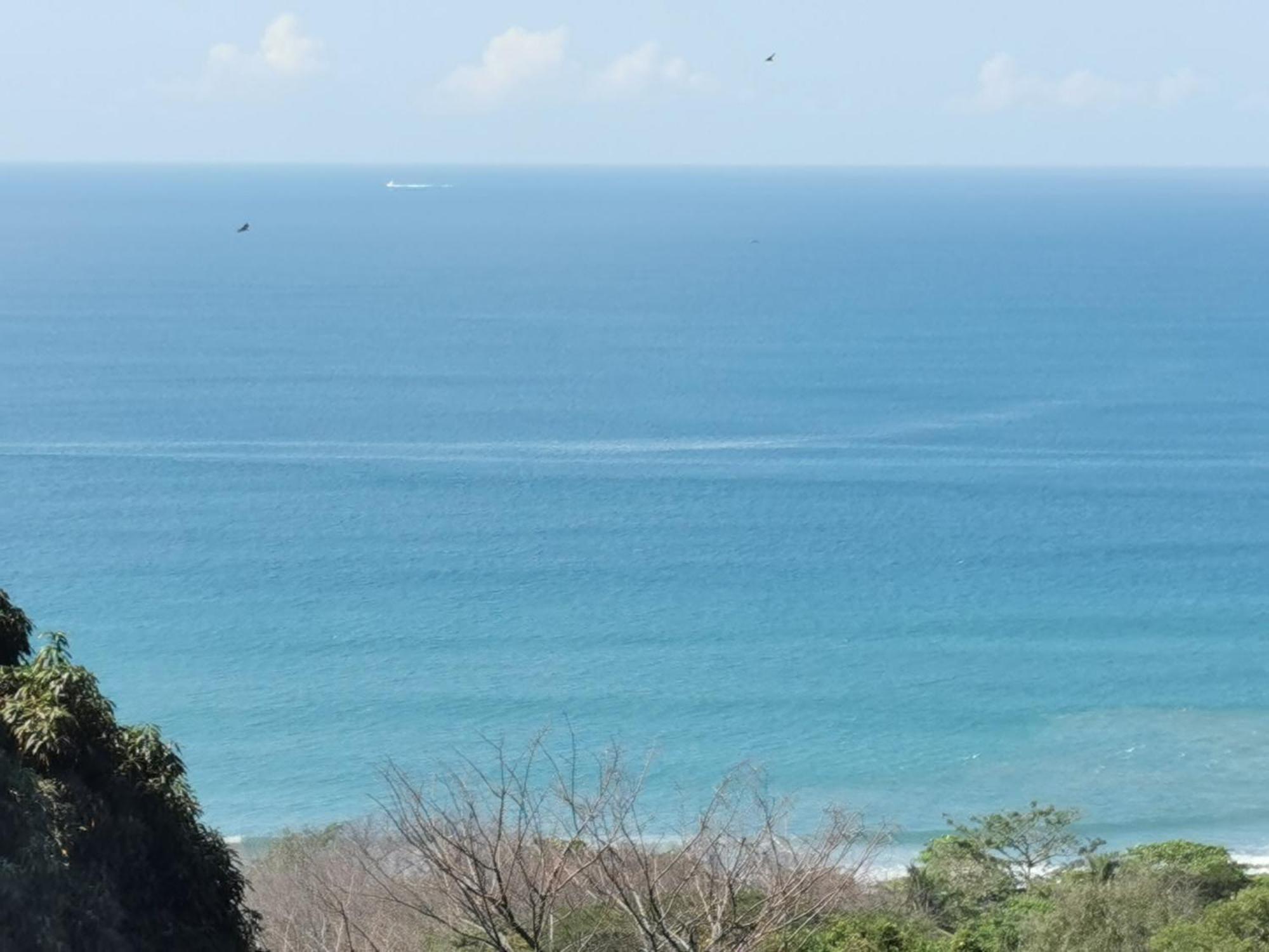 Casa Luna - Private Suites With Ocean View, Pool, Ac, Wifi Playa Santa Teresa  エクステリア 写真